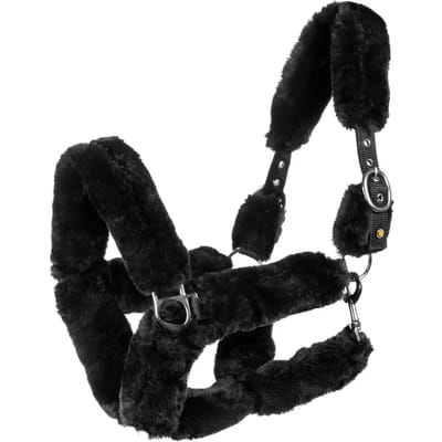Bont halster voor paard Equestro