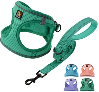 Hondentuig en Leash Set zonder Pull, Ademend Puppy Harnas met Reflecterende Strips, Geschikt voor Kleine Honden