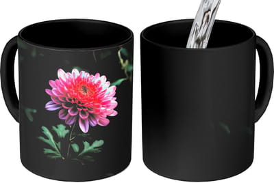 Magische Mok - Foto op Warmte Mokken - Koffiemok - Blad - Chrysant - Roze - Schaduw - Magic Mok - Beker - 350 ML - Theemok