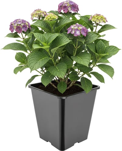 Garronda Hoge vierkante kunststof bloempot met drainagegaten voor tuin (Zwart, 25 x 25 x 26 cm (11L)) GD-KW-HS