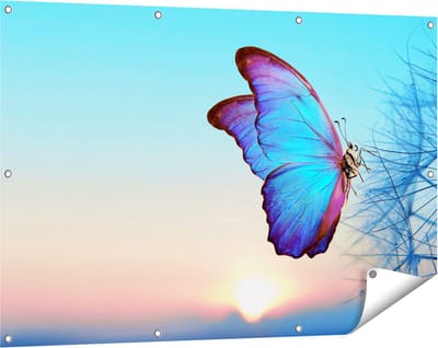 Gards Tuinposter Blauwe Vlinder bij Paardenbloemen - 120x80 cm - Tuindoek - Tuindecoratie - Wanddecoratie buiten - Tuinschilderij
