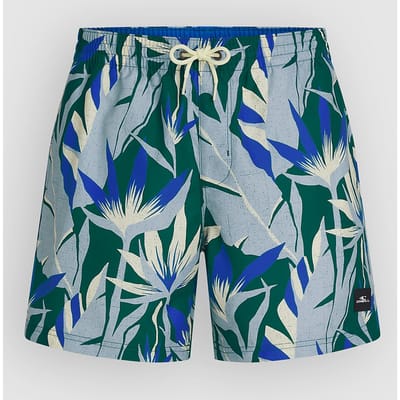 O´neill Print 16´´ Zwembroek Groen M Man