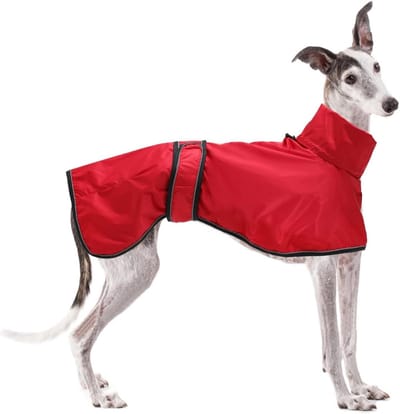 Verstelbare lichtgewicht hondenregenjas met reflecterende bandjes en harnasgat voor windhonden en Lurchers - Rood - M