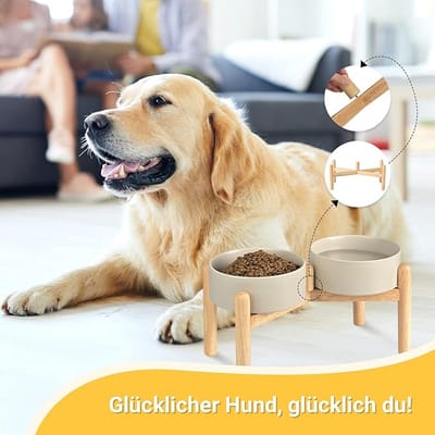 Dieren Voerstation - Comfortabel Eten voor Kleine Honden en Katten -dog feeding station