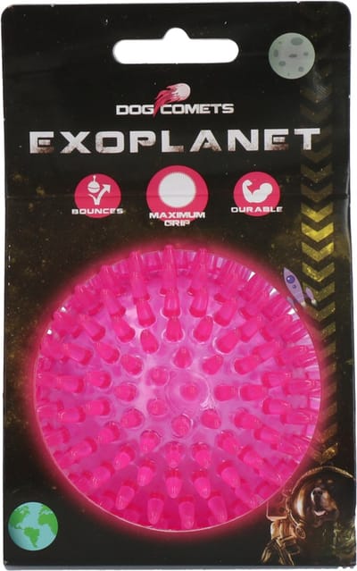 Dog Comets Exoplanet – 8 cm - Hondenspeeltje - Bal - Apporteer speelgoed – Egelbal - Water en Land - Gebitsverzorging - Met Piep - Roze – M