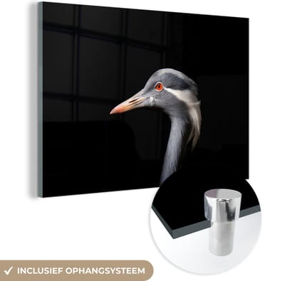 MuchoWow® Glasschilderij 120x80 cm - Schilderij acrylglas - Vogel - Dieren - Portret - Foto op glas - Schilderijen