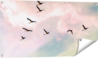 Gards Tuinposter Groep Vogels Vliegen Boven het Gras - 100x50 cm - Tuindoek - Tuindecoratie - Wanddecoratie buiten - Tuinschilderij