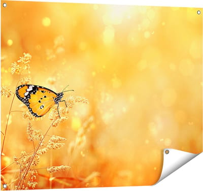 Gards Tuinposter Oranje Vlinder in het Oranje Veld - 100x80 cm - Tuindoek - Tuindecoratie - Wanddecoratie buiten - Tuinschilderij