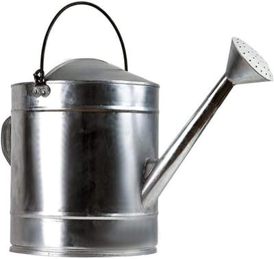 Gieter Metaal - Waterblik Tuin - Planten Water Geven - Roestvrij Staal - 10 Liter - Zilver
