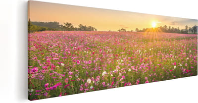 Artaza Canvas Schilderij Cosmea Bloemenveld - 60x20 cm - Wanddecoratie Bloemen - Muurdecoratie Landschap - Kamer Accessoires
