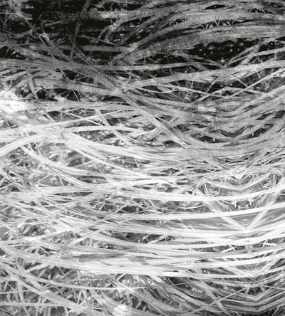 Fotobehang - Hay Abstract II 225x250cm - Vliesbehang