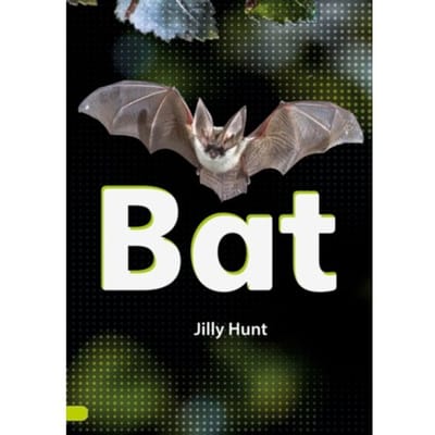 Bat (Set 02) - Striders Phonics Readers - Hunt, Jilly