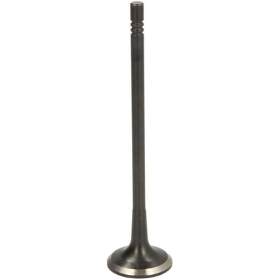 Uitlaatklep FRECCIA R6896/BMNT