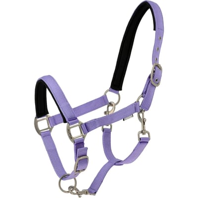 Halster voor paarden Norton Nacre