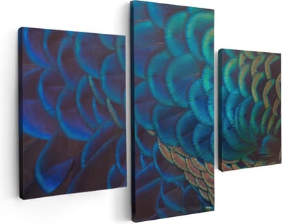 Artaza Canvas Schilderij Drieluik Kleurrijke Pauw Veren Van Dichtbij - 90x60 - Foto Op Canvas - Canvas Print
