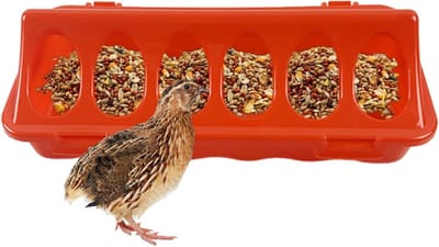Voederbak Kip - Voerbak Gevogelte - Vogels Voeren - Zonder Verspilling - 22 x 10 x 8 cm - Wit