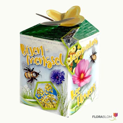Bijenmengsel Greengift - Bijen-Vlinders - Snijbloemen - Geurend - bloeit in Oktober / Juli / Augustus / September