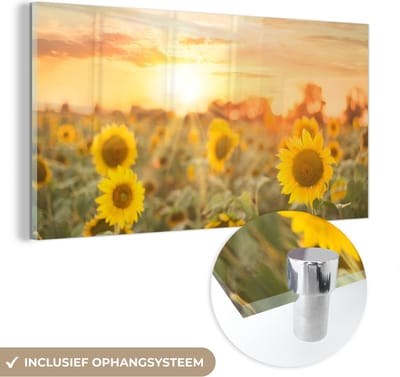 MuchoWow® Glasschilderij 40x20 cm - Schilderij acrylglas - Zonnebloem - Zon - Bloemen - Foto op glas - Schilderijen