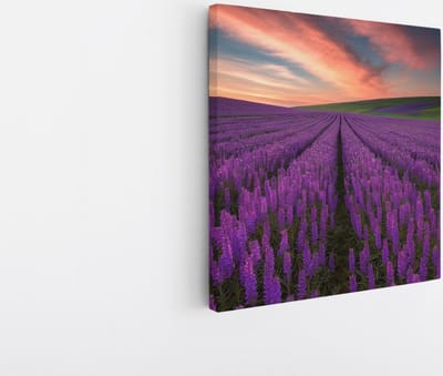 Saammp Canvas Schilderij - Lavendelveld - Natuur - Landschap - 20x20 - Foto op canvas - Wanddecoratie - Muurdecoratie Woonkamer - Slaapkamer decoratie - Canvas Print