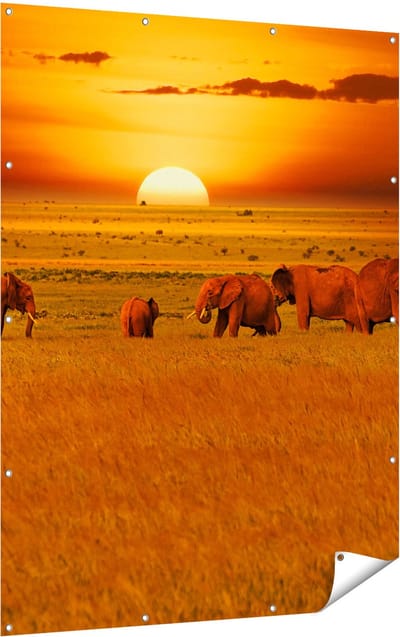 Gards Tuinposter Olifanten in het Wild - Zonsondergang - 120x160 cm - Tuindoek - Tuindecoratie - Wanddecoratie buiten - Tuinschilderij