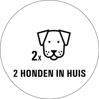 Honden in huis sticker - 80 x 80 mm 2