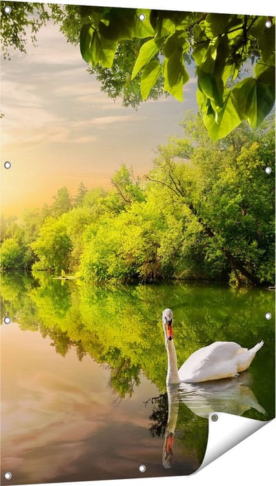 Gards Tuinposter Zwaan op het Water in het Bos - 80x120 cm - Tuindoek - Tuindecoratie - Wanddecoratie buiten - Tuinschilderij