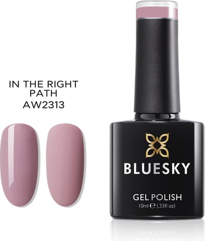 Bluesky Gellak AW2313 In the right path