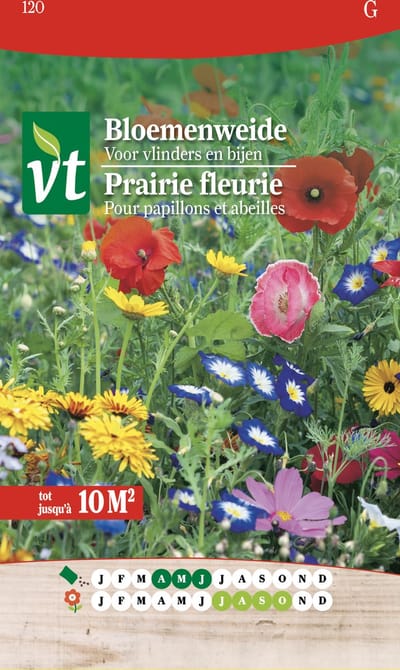 Bloemenweide voor bijen en vlinders - 10 m² kleurrijk bloemenmengsel
