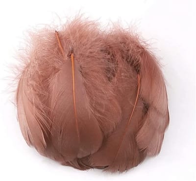 100 Kleurige Veren voor Creatieve Projecten, Natuurlijke Eendenvveren, DIY Kunstwerken, Maskers, Hoeden, Sieraden en Dromenvangers voor Feesten en Bruiloften