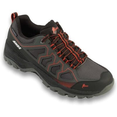 Sportschoenen Ande Cobra Low Wp