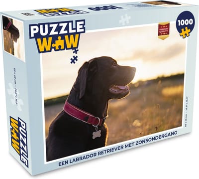 Puzzel Een Labrador Retriever met zonsondergang - Legpuzzel - Puzzel 1000 stukjes volwassenen