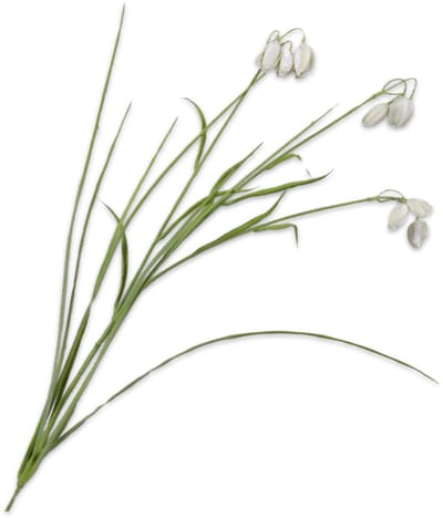 Silk-ka Kunstbloem-Zijden Bloem Fritillaria Tak Crème-Groen 71 cm