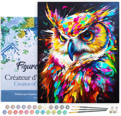 Figured'Art Schilderen op Nummer Volwassenen met lijst Kleurrijke Abstracte Uil- Handwerk acrylverf Kit DIY Compleet - 40x50cm Canvas al ingelijst