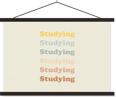 Posterhanger incl. Poster 60x40 cm - Schoolplaat - Quotes - Studenten - Studeren - Motivatie - Textielposter - Zwarte latten