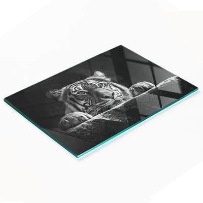 Multifunctionele decoratieve snijplank voor de keuken, gemaakt van gehard glas, met tijgermotief, 80x52 cm