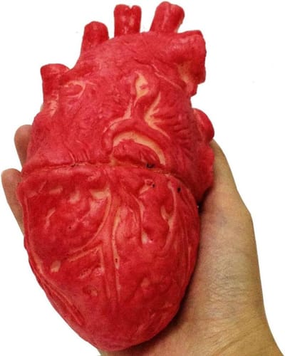 Nep Menselijk Hart - Rechthoog Hart - Horror Decoratie - Levensgroot Ontwerp - 18 x 10 cm - Rood