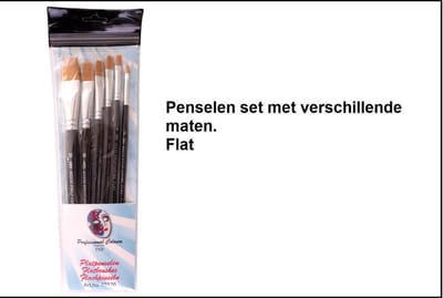 Set PXP Professional Colours 6 penselen flat synthetisch profigrime - Schmink carnaval thema feest penselen verjaardag party