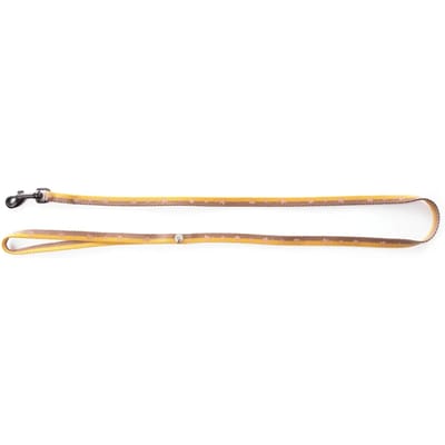 Bicolore Nylon Hondenlijn Martin Sellier Bulles
