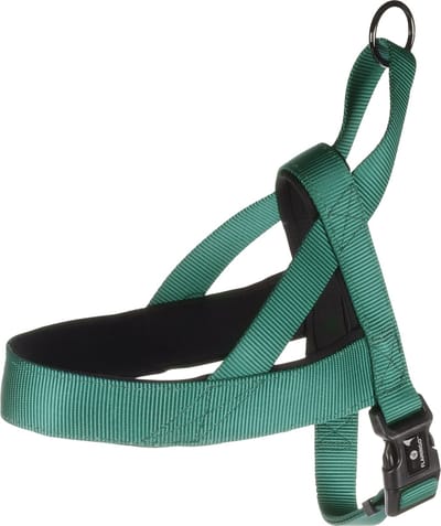 Flamingo Abbi Noors - Harnas Honden - Noors Harnas Abbi Groen L 55-70cm 25mm - 1st - 190725 - 1st