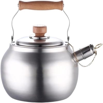 Waterketel RVS - Theepot Fornuis - Water Koken - Fluitend Geluid - 4 Liter - Zilver