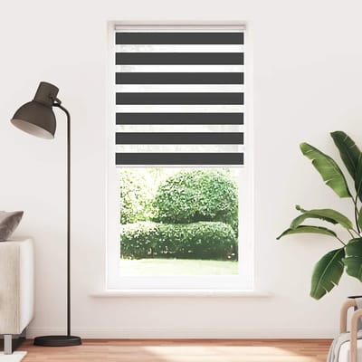 vidaXL - Zebra - rolgordijn - 105x200 - cm - stofbreedte - 100,9 - cm - zwart