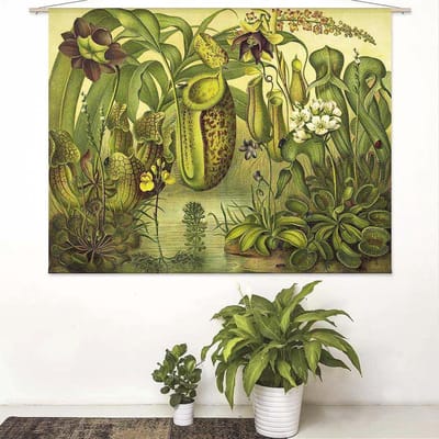Wandkleed-XL Bekerplanten