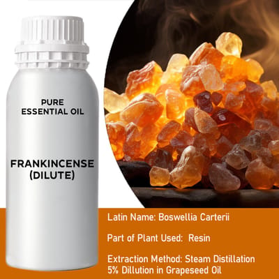 Ancient Wisdom - Etherische olie - Spruce essential oil 10x 10ml - aromatherapie - geur - luchtverfrisser - DIY - massage - ontspanning