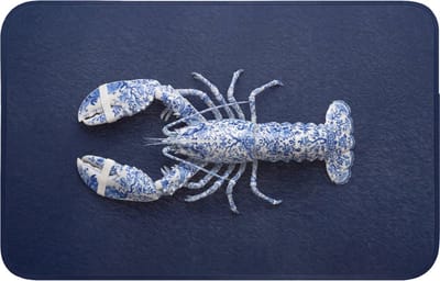 WC mat 80x50 cm - Antislip - Kreeft - Porselein - Delfts - Blauw - Toiletmat - Vloermat - Douchemat - Toilet tapijt - Toiletmatten