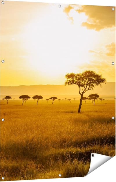 Gards Tuinposter Zonsondergang in de Savanne - 90x120 cm - Tuindoek - Tuindecoratie - Wanddecoratie buiten - Tuinschilderij