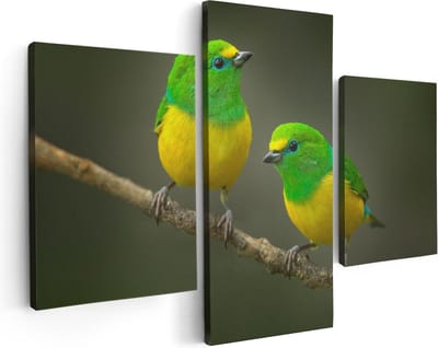 Artaza Canvas Schilderij Drieluik Twee Groen Gele Zangvogels Op Een Tak - 90x60 - Foto Op Canvas - Canvas Print