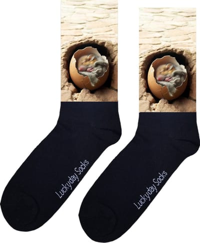 Hamster - Opkikker - Grappige sokken - Valentijn cadeau - Verjaardag cadeau - Sint cadeau - Leuke sokken - Ei - Leuk cadeau - Vrolijke sokken - Cadeautje - Grappig cadeau - Kerstsokken - Vaderdag - Moederdag - Stoep - Socks maken Happy - 37-44