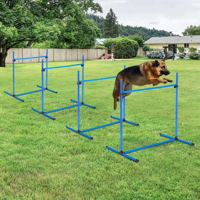 MEUNIQ honden agility set 99 x 65 x 94 cm met verstelbare horde, slalomstangen en bodemstangen voor behendigheidstraining in de tuin of het park, blauw