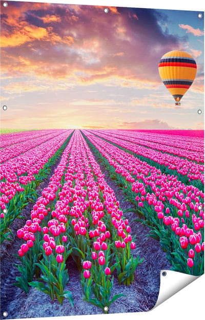 Gards Tuinposter Bloemenveld met Roze Tulpen - Luchtballon - 90x120 cm - Tuindoek - Tuindecoratie - Wanddecoratie buiten - Tuinschilderij