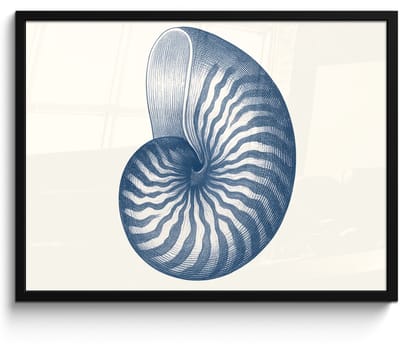 Poster in lijst - Fotolijst 70x50 cm - Posters - Blauw - Schelp - Spiraal - Posterlijst zwart - Decoratie - Wanddecoratie woonkamer - Muurdecoratie slaapkamer